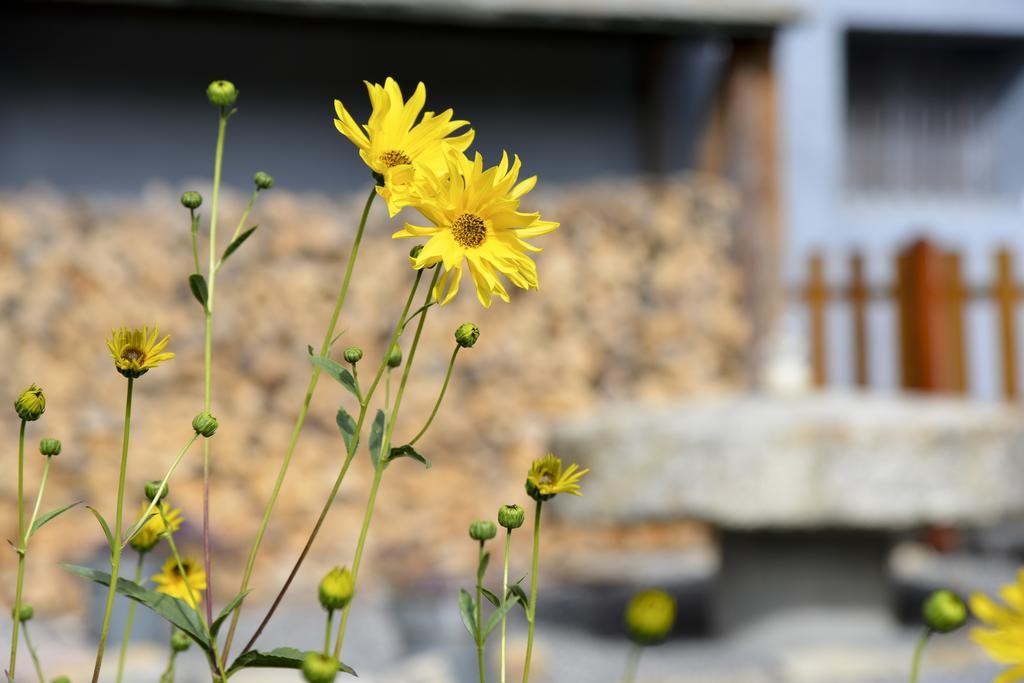 Bed and Breakfast L'Escale En Ubaye Saint-Pons  Esterno foto